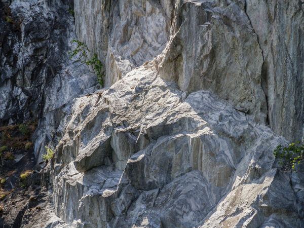 Ключ к жизни из космоса:&hellip;