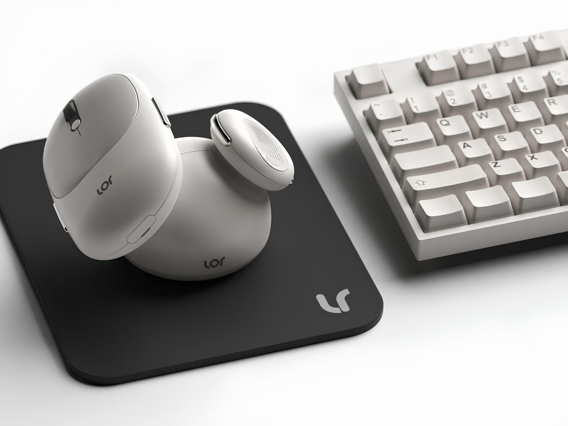 modulnaya-mysh-lor-1