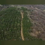 Находка древней супермагистрали в Китае способна поменять историю инженерии