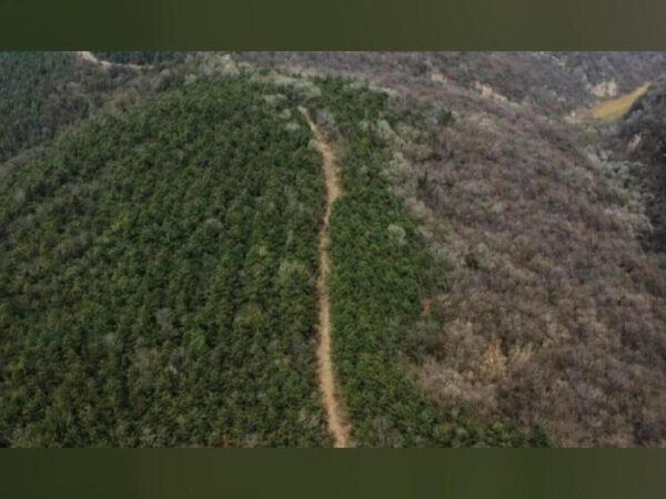 Находка древней супермагистрали в Китае&hellip;