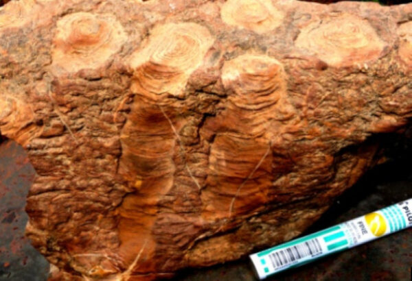 Наше будущее – новый суперматерик: обнаружены признаки сближения земных плит 5 Наше будущее – новый суперматерик: обнаружены признаки сближения земных плит