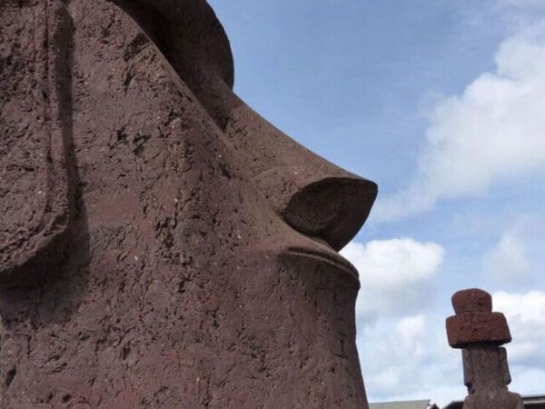 Названы раскрытые учеными в 2025&hellip;