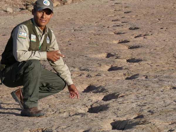 okno v ischeznuvshij mir obnaruzhennaja sokrovishhnica sledov dinozavrov perepisala paleontologiju 845f7ac.jpg