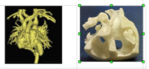 Печать Ярослава Мудрого и нейтрино: десять ярких научных работ 2025 года