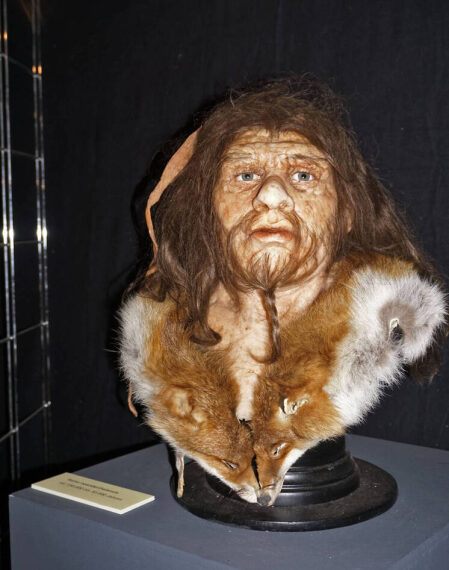 Бюст в музее с украшением из лисьего меха на чёрном фоне.