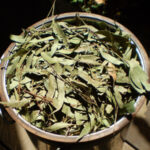 Свежие эвкалиптовые листья в металлическом ведре на деревянной поверхности.