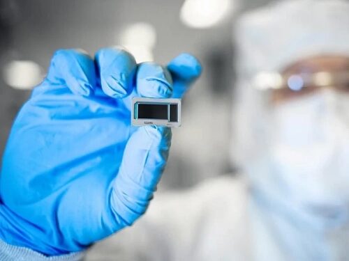 Человек в защитных перчатках держит микрочип в лаборатории.