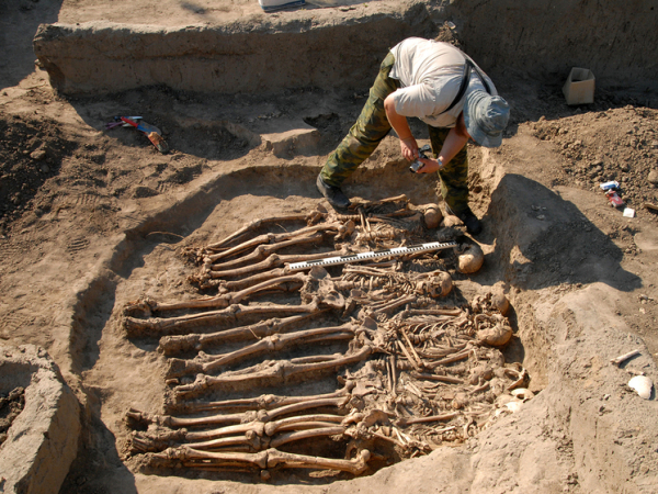 zagadochnaja okamenelost doistoricheskoj stopy okazalas sposobna vstrjahnut vse genealogicheskoe drevo cheloveka 112045f.jpg