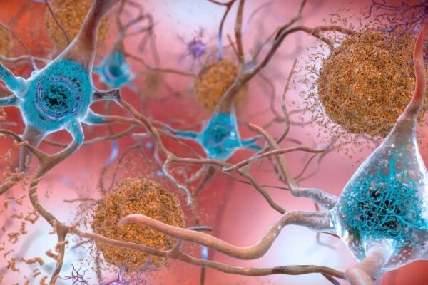 Нейронные связи мозга, крупным планом, биологическая иллюстрация нейронов.