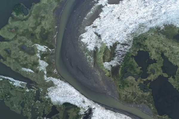 Погружение деревьев в Северный Ледовитый океан может поглотить 1 миллиард тонн CO2. 1 Деревья, плывущие к Северному Ледовитому океану.