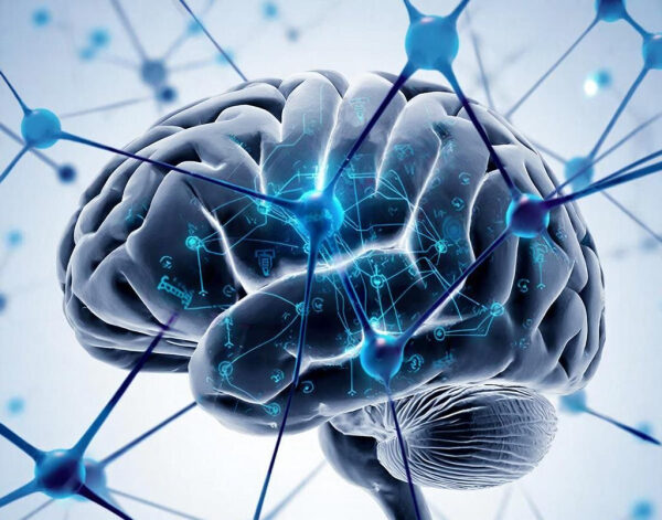 Изображение мозга с нейронными связями и цифровыми элементами на фоне.