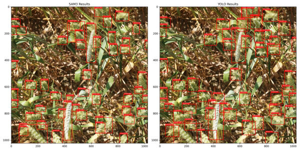 1e134ddaccee5b91ceee6e042f28cb63
