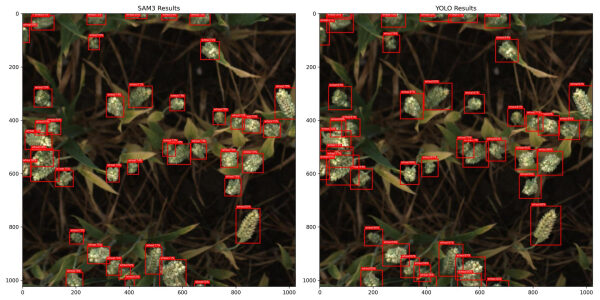 209fe869e1854654ca730b9f543fe821