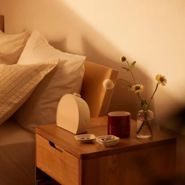 2382878d0d3c4953cfeacbcb2ba31320