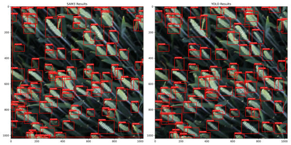 2f813541c6154172db679a92e18a98e4