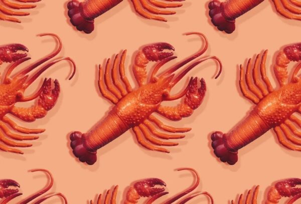 Красочные рисунки раков на розовом фоне, повторяющийся узор.