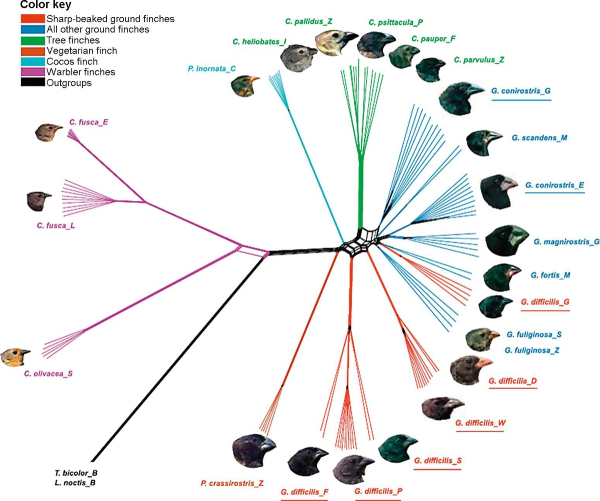 3a35fe8e9017814a4636ec6a49ef9115