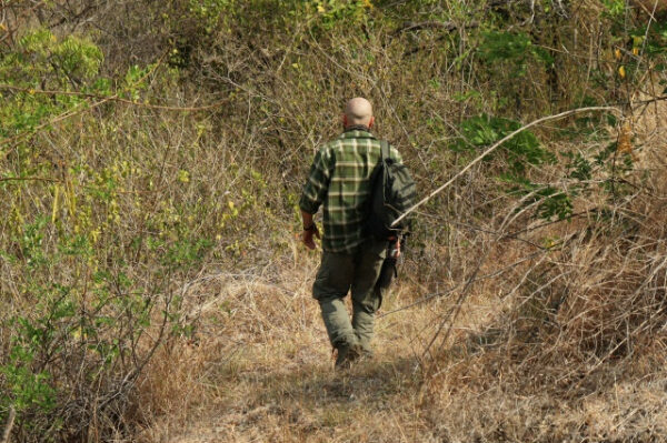 Человек в лесу в клетчатой рубашке с рюкзаком, идёт по тропе среди сухих кустов.