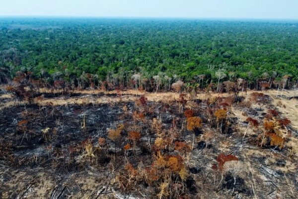 Вырубка леса в тропиках Амазонии, вид сверху, леса и пепелища.