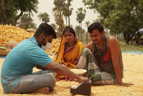Люди сидят на груде кукурузы на открытом воздухе в сельской местности.