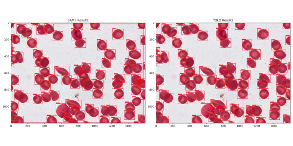 4fda228329180b6c270a0a1eca3d8d66