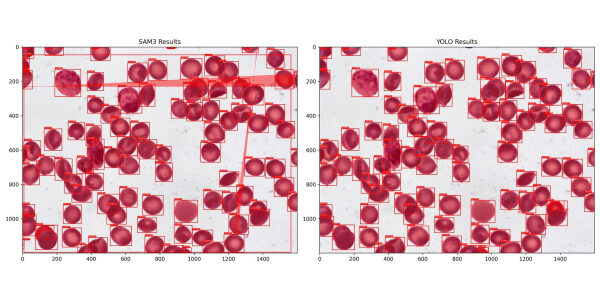 50a3d7a414216ff9075bc94bf70230a7