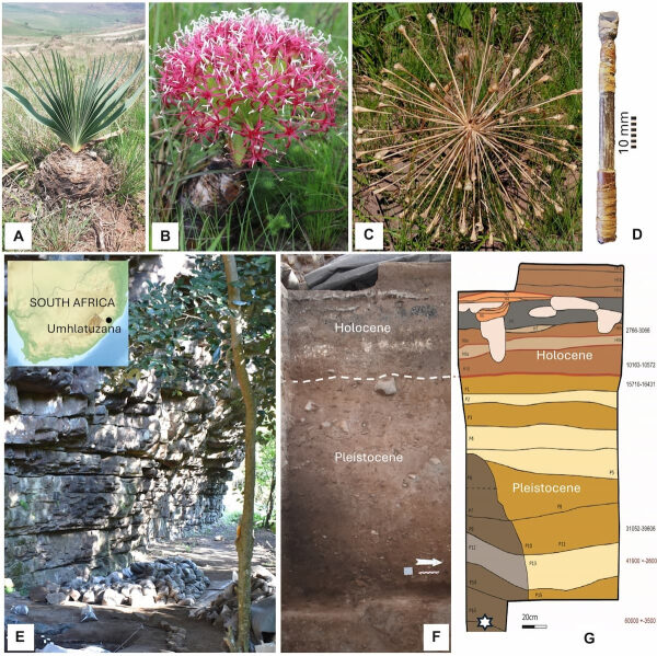 547355012389200755e82dbf424a7289