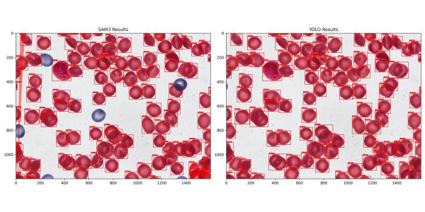 5accdd699277aa223fe385803fee0515