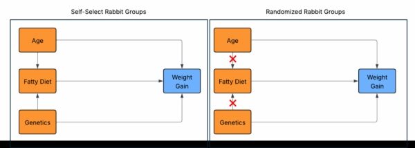 Рандомизация обеспечивает независимость между переменными, влияющими на увеличение веса (изображение предоставлено автором).