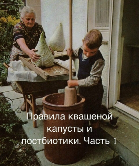 Приготовление квашеной капусты возле дома, использование большой толкушки и свежей капусты.