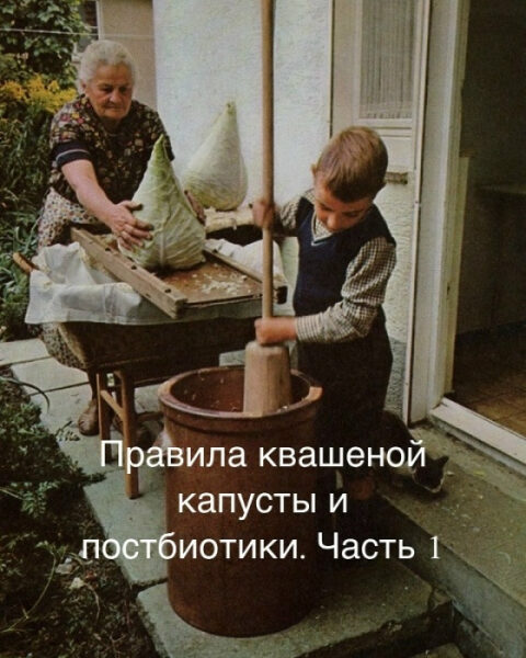 Приготовление квашеной капусты возле дома, использование большой толкушки и свежей капусты.