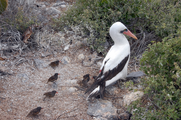 763c988deec6c72efe140e64d38da834