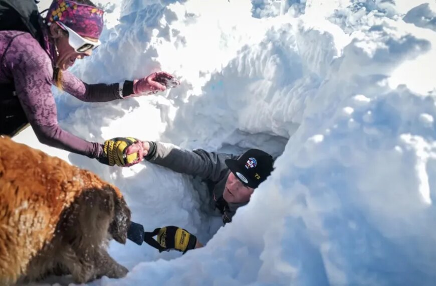 Спасение человека из снежного завала с помощью собаки и альпиниста.