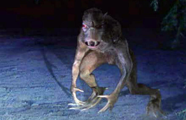 Все о чупакабре Все о чупакабре