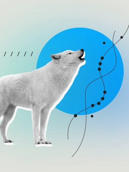 10 прорывных технологий 2026 года 22 Техническая карта 6