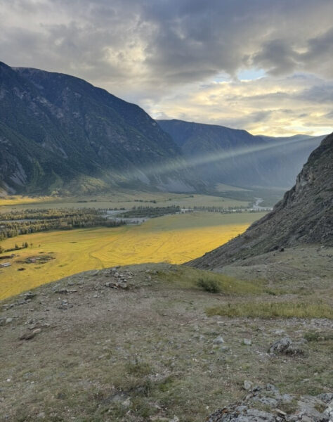 Личный ад или -37 млн кассового разрыва.