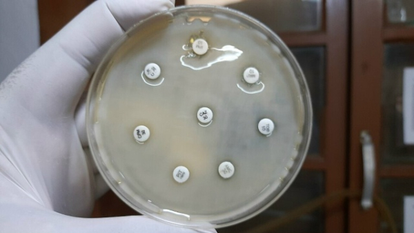 90a28fbe1fad83c9ca83953d26d4b860