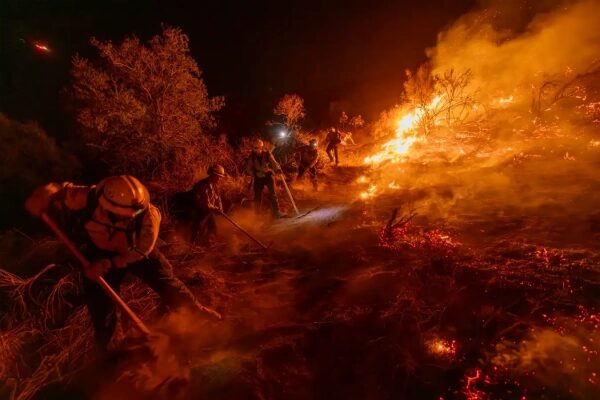 Пожарные тушат лесной пожар ночью, огонь, дым, экстренные службы в действии.