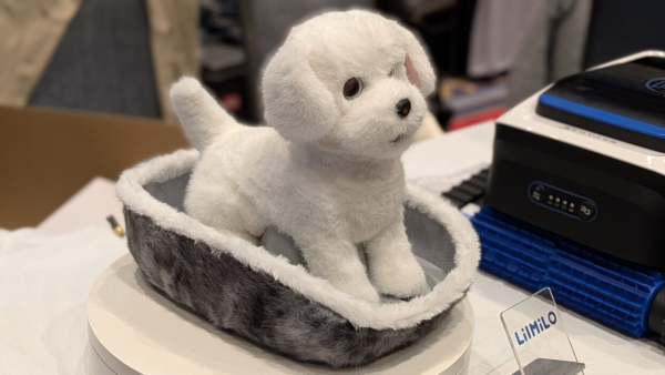 Источник фото: John Alex Hvidlykke