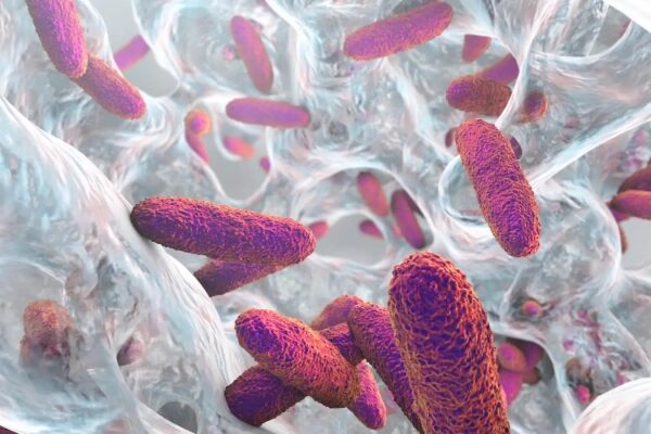 Бактерии под микроскопом, крупный план, цветные клетки на белом фоне.