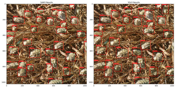 9de69fdbca02337bc4e40a1740962b68