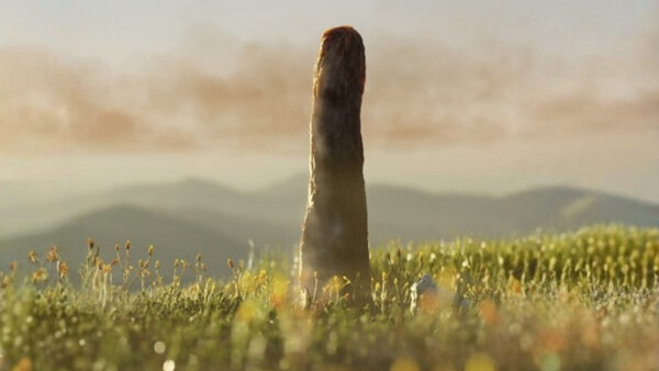 Загадка древних гигантов: неизвестный вид жизни, исчезнувший навсегда? Загадка древних гигантов: неизвестный вид жизни, исчезнувший навсегда?