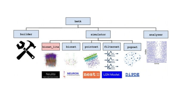 Диаграмма структуры BMTK с инструментами для моделирования и анализа нейронных сетей.