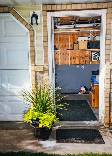 На изображении могут быть: комнатное растение, дизайнер интерьеров и растение в горшке.