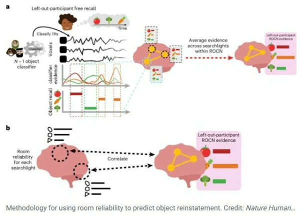 b3b0539a117645bb8cabd3e5fdef507b