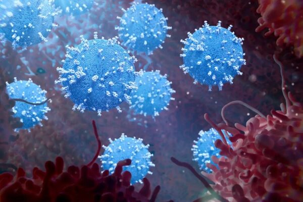 bcb6eb96e42e984b86d2b9358418d2b7