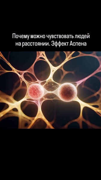 beeb01aeb635820f364e4fd717b46ebd