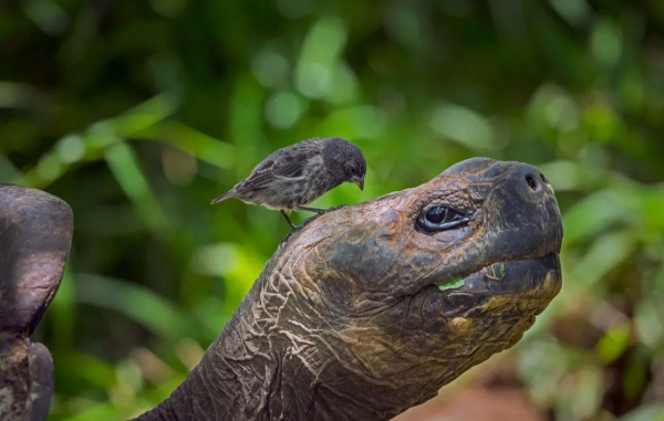 c2157fdfc436a0884e3036e83aa324d8