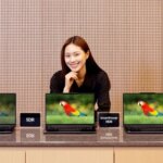 Ноутбуки с разными режимами экрана: SDR, HDR, SmartDisplay HDR; изображение попугая.