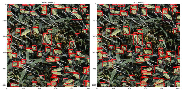 d50b1f2cdc66d17226dfd926bb025469